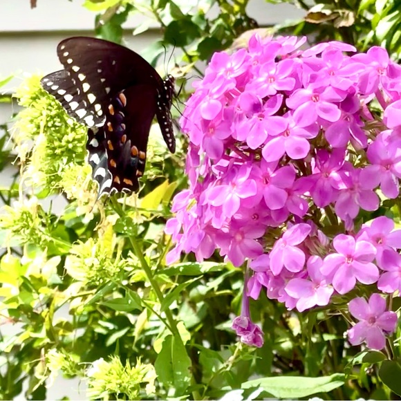 Like it? Make an offer! - Picture 4 of 9